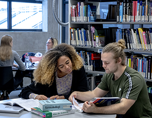 To studerende, den ene med krøllet hår, den anden med hestehale, studerer sammen bøger på et bibliotek med andre rundt omkring og hylder i baggrunden.