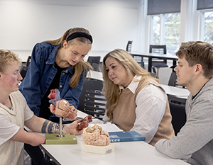 Fire elever, en blanding af køn, undersøger en menneskelig hjernemodel ved et bord i et klasseværelse og engagerer sig i en diskussion om dens dele.